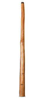 Tristan O'Meara Didgeridoo (TM503)